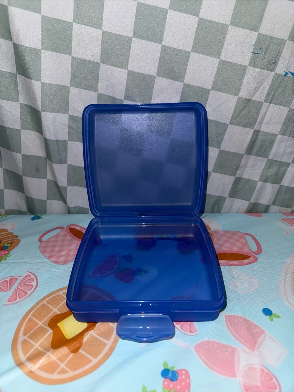 Blue Sandwich Tupperware Keeper
